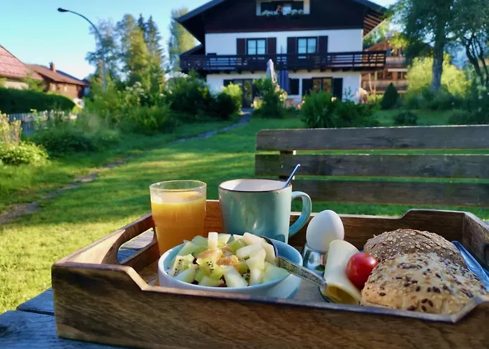 Penzion Drachenfels 3*